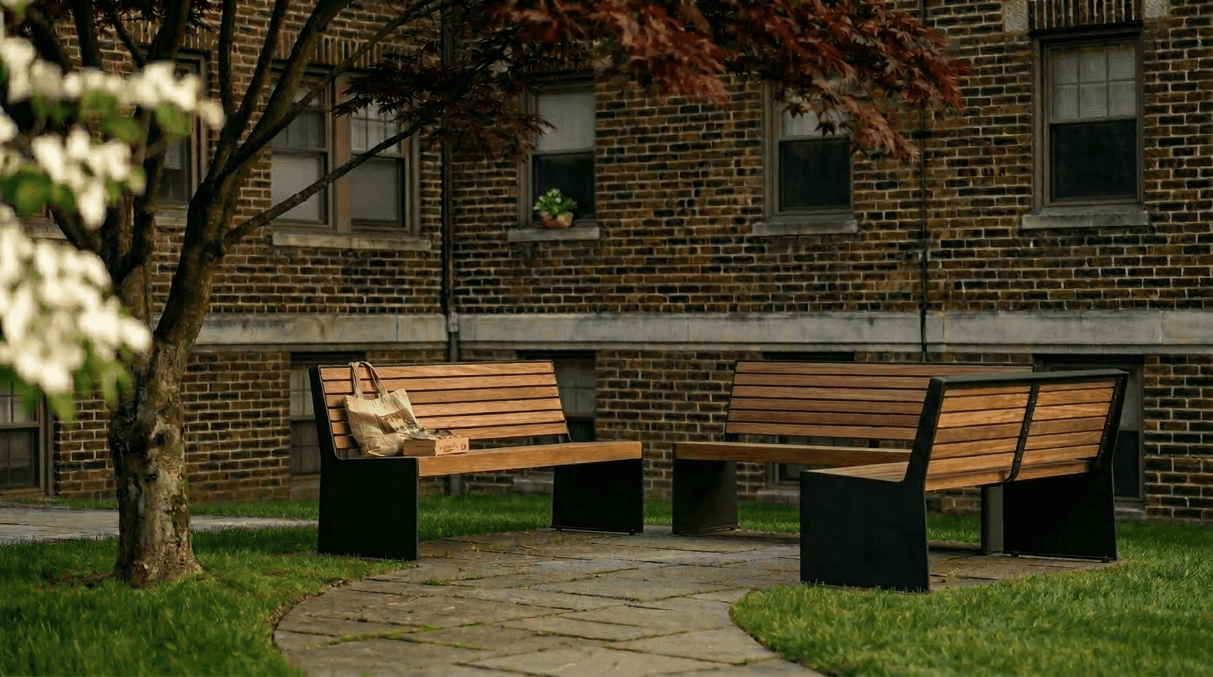 Quiet Outdoor Moments